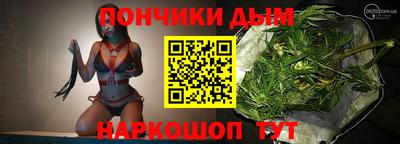 альфа пвп Новодвинск