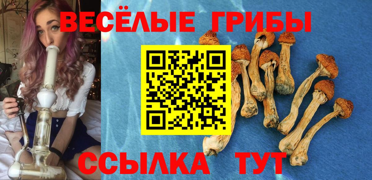 Псилоцибиновые грибы Psilocybine cubensis Сатка